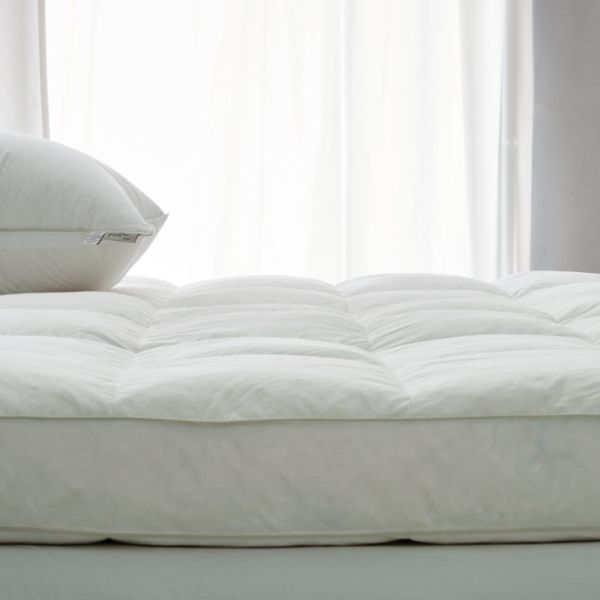 Ploh store pillow price